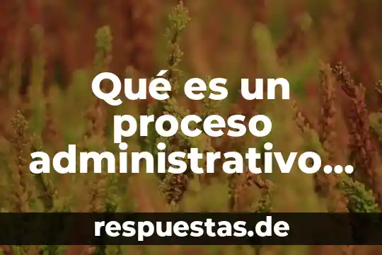 Qué es el proceso del conocimiento 4 Qué es un proceso administrativo en derecho