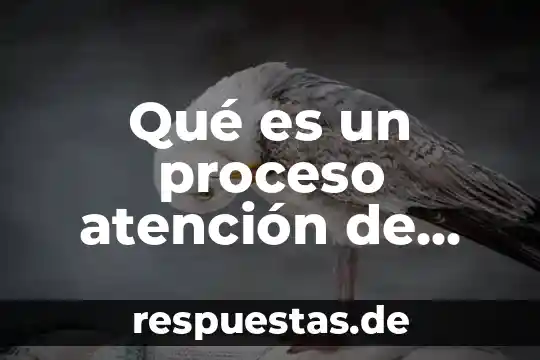 Que es la didactica enfermeria 4 Qué es un proceso atención de enfermeria