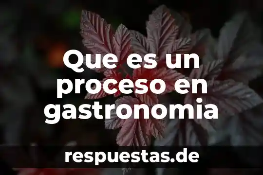 Que es concepto de fondo gastronomia 3 Que es un proceso en gastronomia