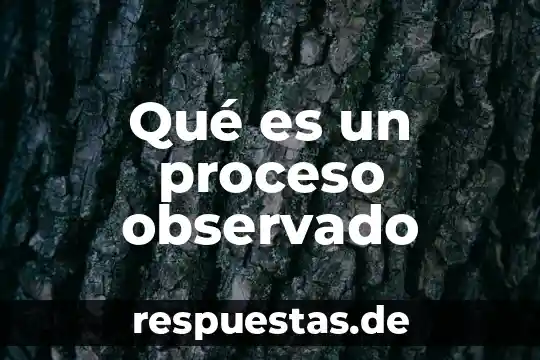 Qué es un proceso y qué es un procedimiento 6 Qué es un proceso observado