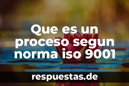 Que es un proceso segun norma iso 9001