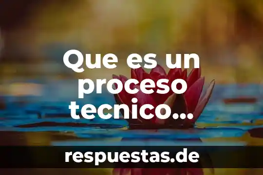 Que es un proceso de escenificacion de la danza 3 Que es un proceso tecnico pecuario