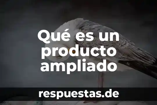 Que es actitud del producto 4 Qué es un producto ampliado