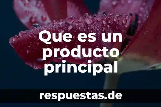 Que es el concepto inicial de un producto 3 Que es un producto principal