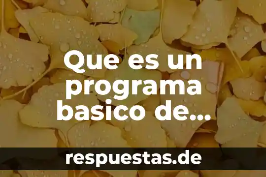 Que es aplicacion o programa 3 Que es un programa basico de seguridad