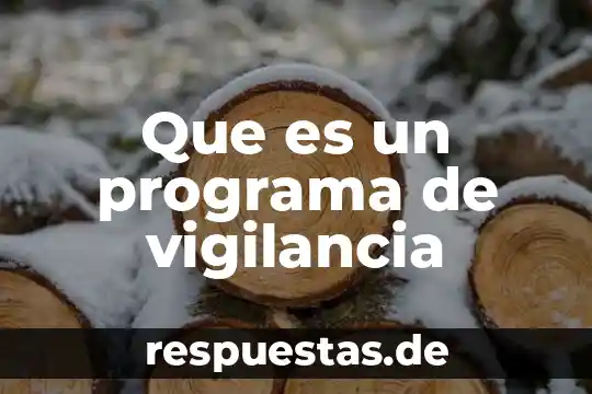 Que es el programa task host windows 3 Que es un programa de vigilancia