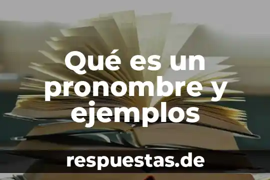 Que es nombre comun y ejemplos 7 Qué es un pronombre y ejemplos