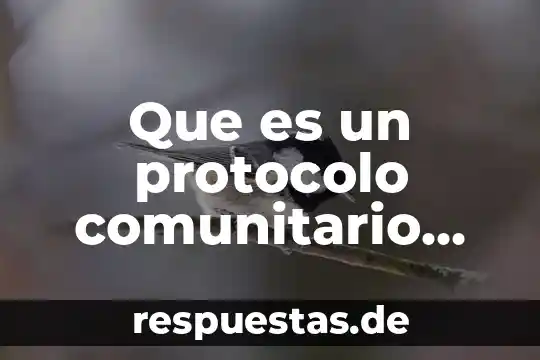 Que es una figura jiridica de un proyecto 6 Que es un protocolo comunitario biocultural y para que sirve