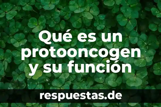 Que es el pistilo de la flor y su funcion 5 Qué es un protooncogen y su función