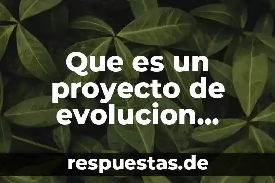 Que es la identidad de una persona ejemplos 6 Que es un proyecto de evolucion persona