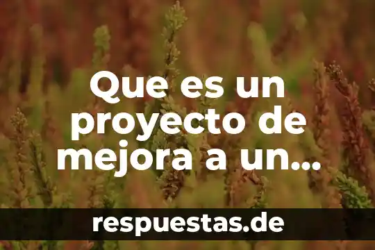 Que es un centro de mejora de interes 4 Que es un proyecto de mejora a un lugar turístico