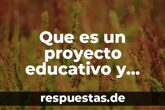 Qué es Google, cómo se utiliza y para qué sirve 5 Que es un proyecto educativo y para que sirve