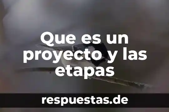 Que es un proyecto seminidustrial 4 Que es un proyecto y las etapas