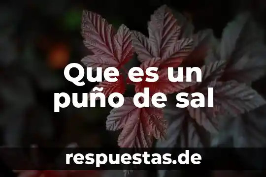 Que es un sal haloidea 4 Que es un puño de sal