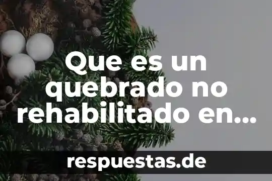 El número de cuil en México 4 Que es un quebrado no rehabilitado en mexico