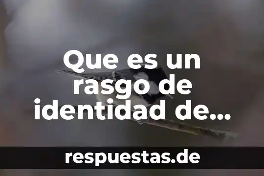 Yahoo que es la identidad de género 5 Que es un rasgo de identidad de una comunidad