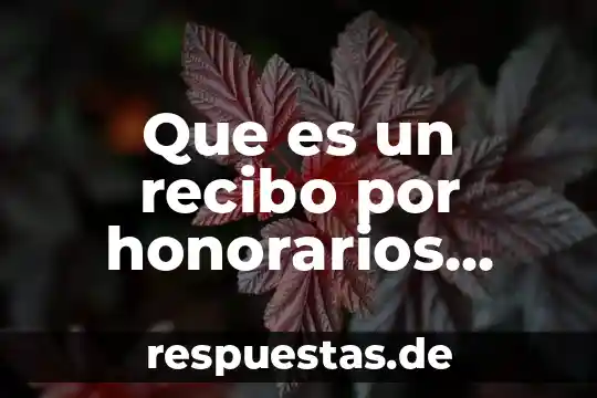 Que es un recibo por honorarios mexico