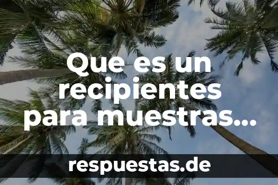 Que es las uniades quimicas 5 Que es un recipientes para muestras quimicas