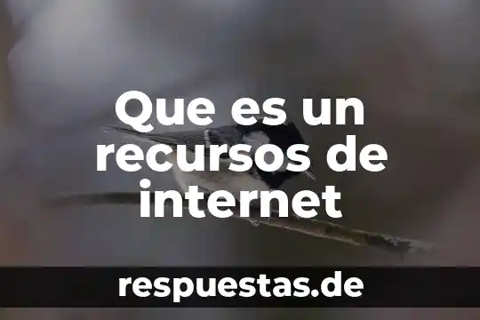 Qué es un historia clínica 5 Que es un recursos de internet