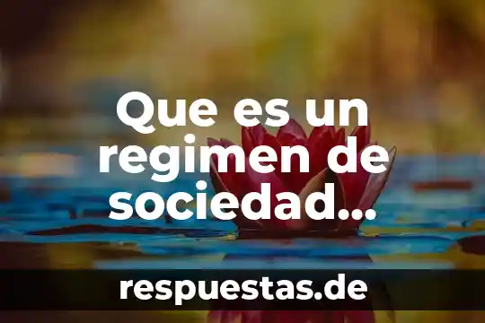 Que es una sociedad frag 3 Que es un regimen de sociedad patrimonial