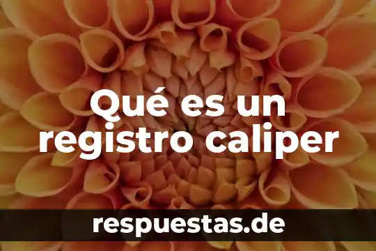 Qué es un registro caliper