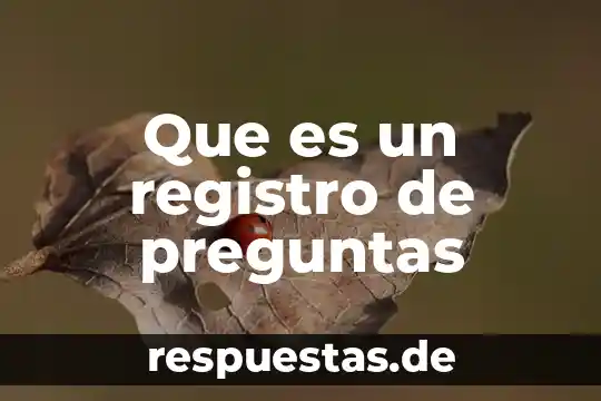 Qué es el registro de valores 8 Que es un registro de preguntas