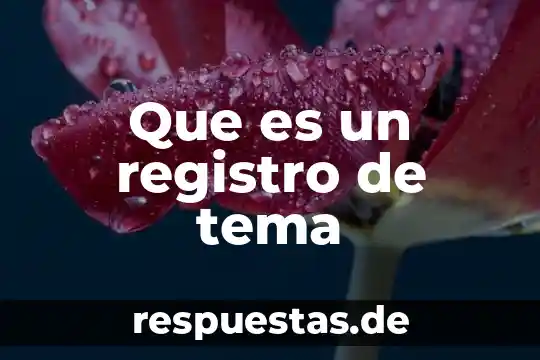 Que es un registro de tema