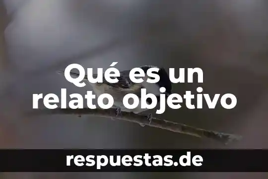 Qué es el objetivo propuesto 6 Qué es un relato objetivo