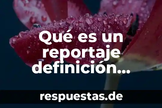 Elementos multimedia que es 3 Qué es un reportaje definición tipos de elementos