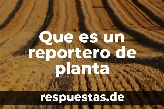 Qué es las espicolas de la planta 7 Que es un reportero de planta