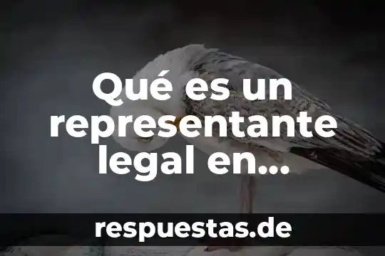 Qué es el representante legal de una sociedad 6 Qué es un representante legal en México