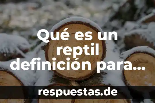 Que es arte explicacion para niños 7 Qué es un reptil definición para niños