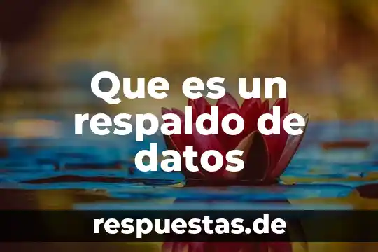 Qué es respaldo en relación a la lógica 4 Que es un respaldo de datos