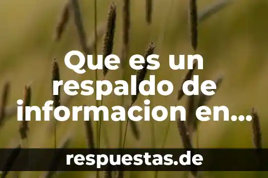 Qué es respaldo en relación a la lógica 5 Que es un respaldo de informacion en informatica