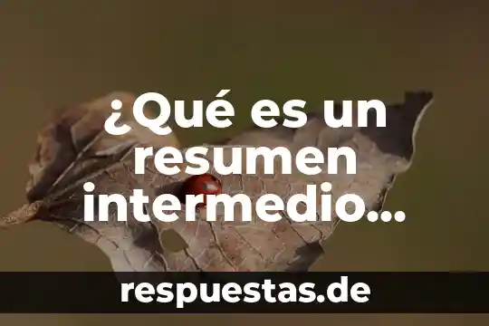 Que es un elipsoide definicion 5 ¿Qué es un resumen intermedio definición?