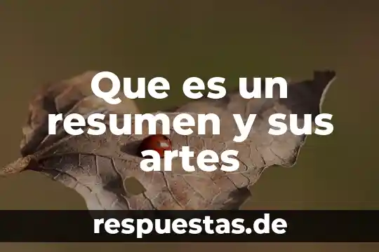 Que es ley de libertad de cultos 6 Que es un resumen y sus artes