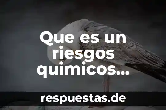 Que es la distancia recorrida en la fisica 5 Que es un riesgos quimicos tecnologicos