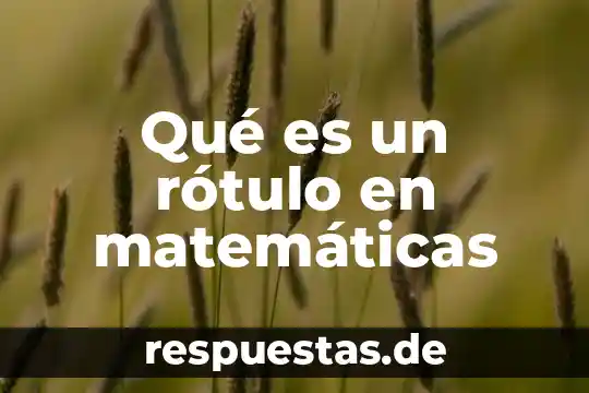 Qué es bisectriz en matemáticas símbolo 8 Qué es un rótulo en matemáticas
