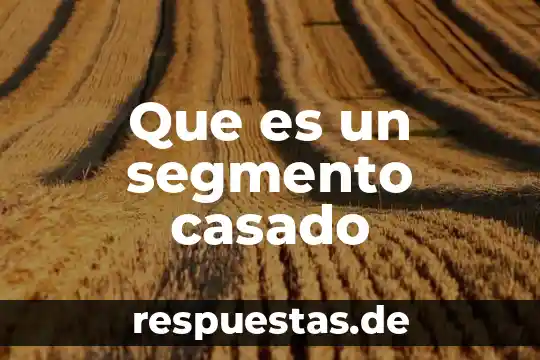 Que es segmento en fisica 6 Que es un segmento casado