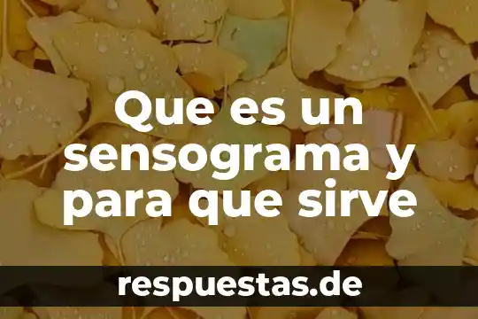 Qué es un encefalograma y para qué sirve 4 Que es un sensograma y para que sirve