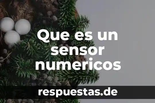 Qué es argumento en lenguaje 6 Que es un sensor numericos