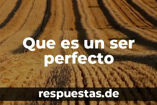 Que es ser una persona imperativa 4 Que es un ser perfecto