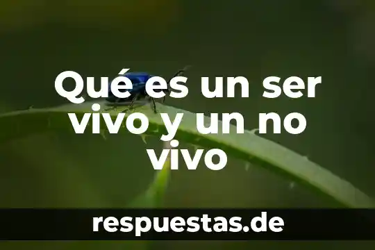 Que es ser un caballero y una dama 3 Qué es un ser vivo y un no vivo