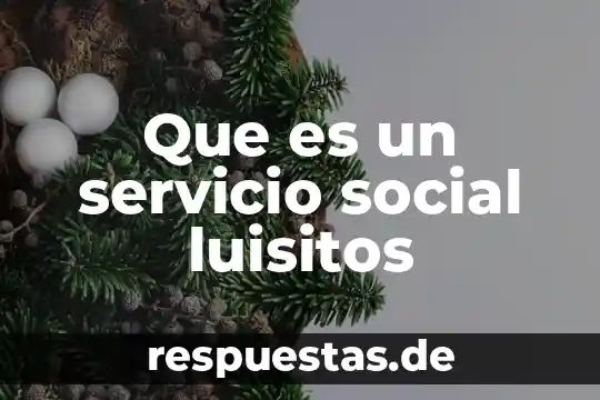 Escorts que es servicio griego 3 Que es un servicio social luisitos