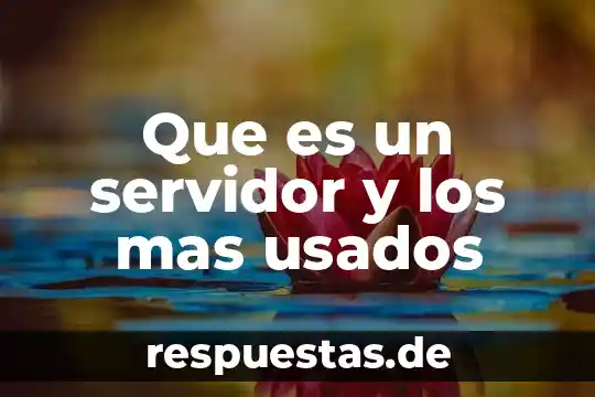 Que es un servidor y los mas usados