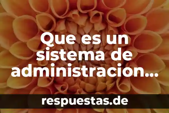 Qué es el sistema de protección de datos 4 Que es un sistema de administracion de base de datos