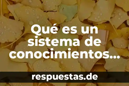 Qué es la real sociedad europa 4 Qué es un sistema de conocimientos de costo