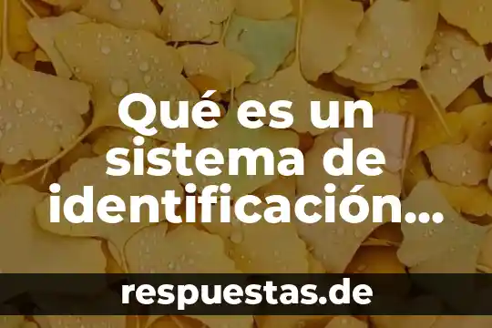 Qué es el número de identificación del INE 7 Qué es un sistema de identificación criminalística