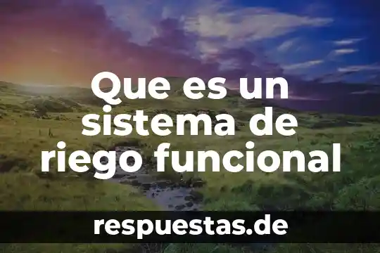 Que es un sistema de riego funcional