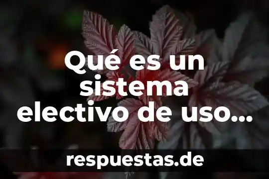 Que es el nombre comercial de una negociación 5 Qué es un sistema electivo de uso comercial